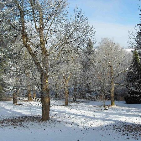 Chambres d'Hôtes Le Chalet Condat-sur-Vienne Extérieur photo