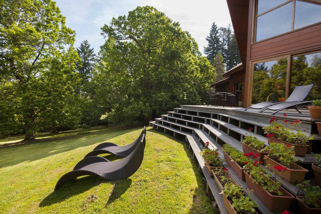 Chambres d'Hôtes Le Chalet Condat-sur-Vienne Extérieur photo